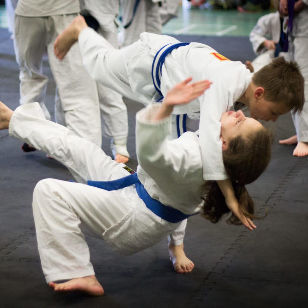 Taijutsu Kai Sports Jujutsu and MMA (Jiu Jitsu, BJJ, Judo) Cheltenham